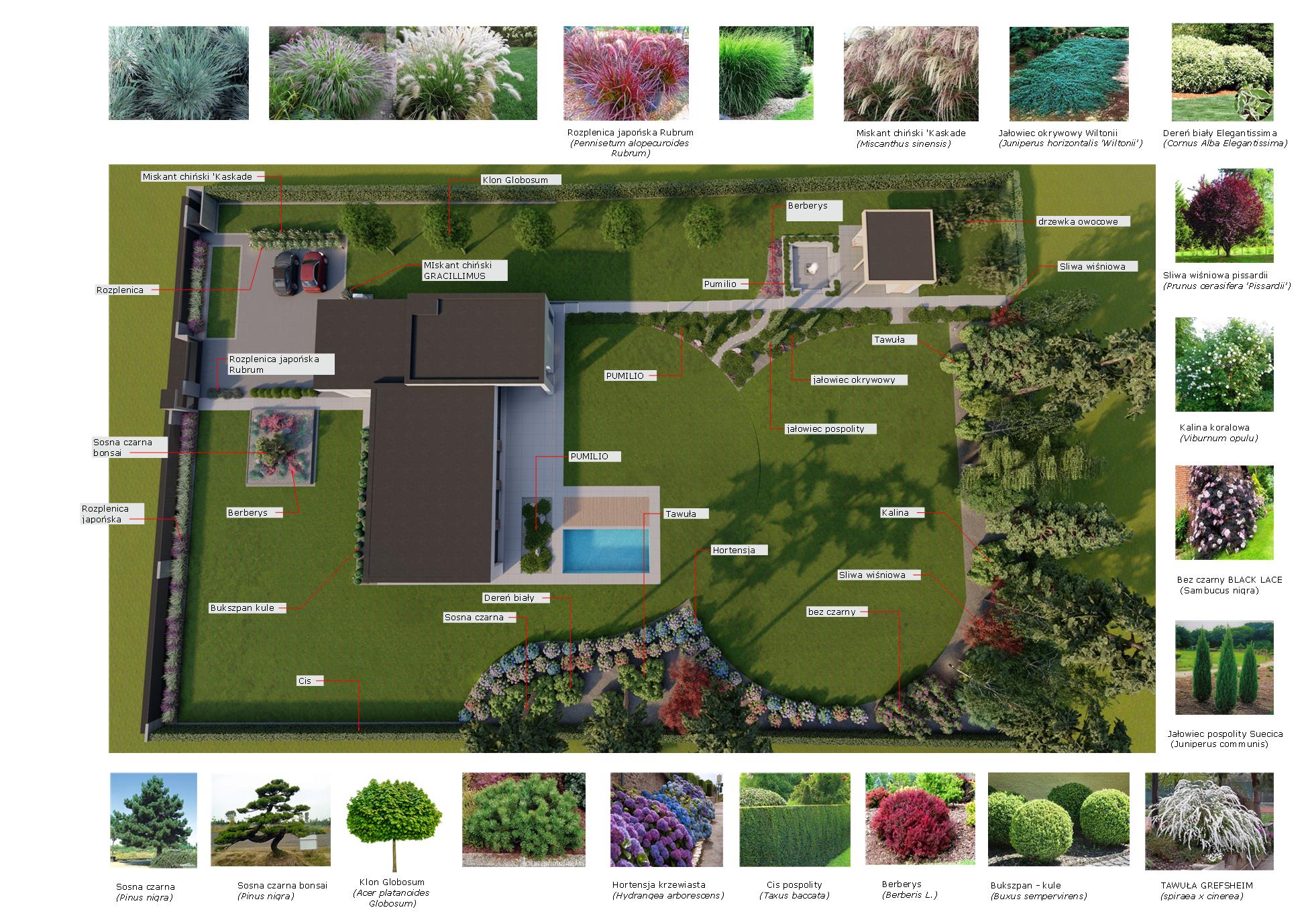 Projekt ogrodu z wykazem roslin-Ideaverde